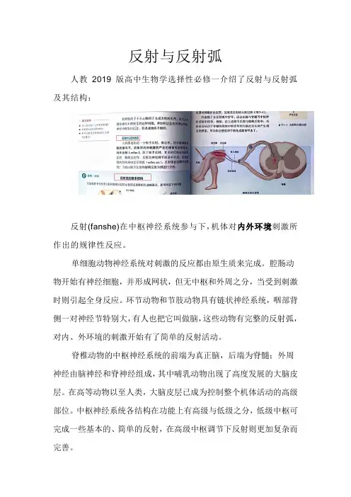 反射与反射弧