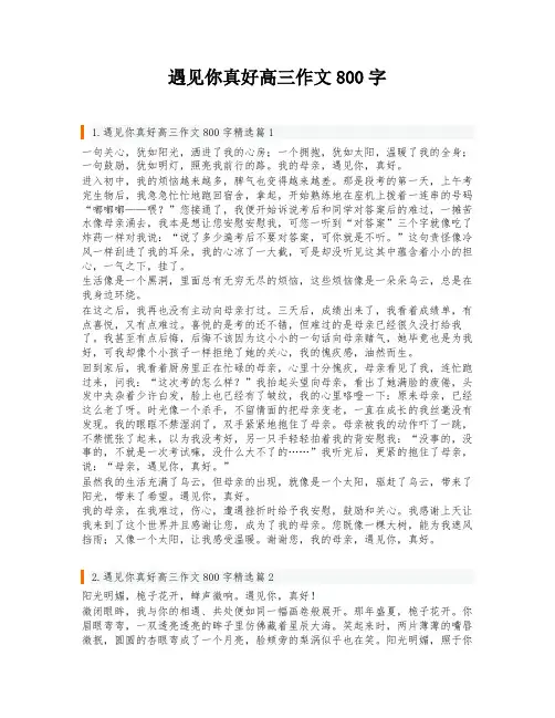 遇见你真好高三作文800字