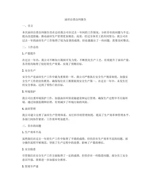 油田自查自纠报告