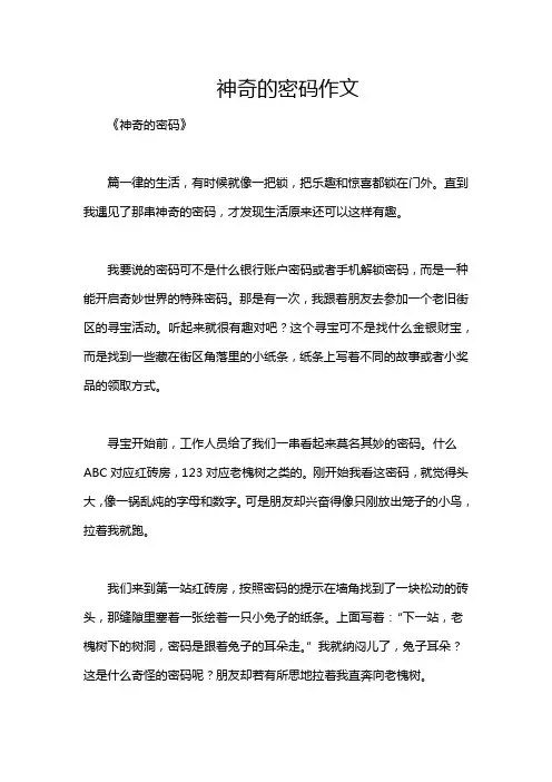 神奇的密码作文