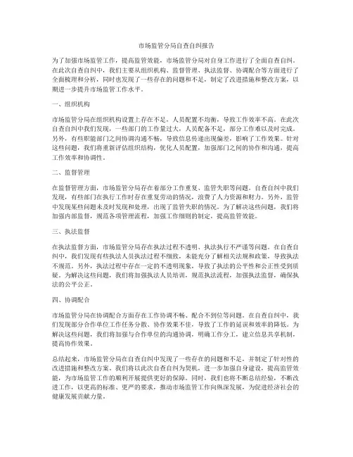 市场监管分局自查自纠报告