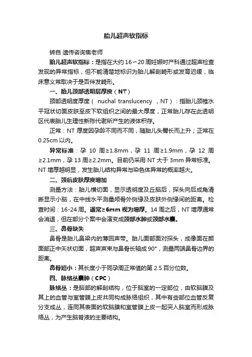 胎儿超声软指标
