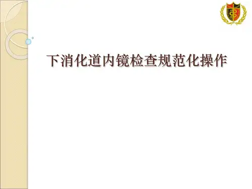 讲课结肠镜规范操作