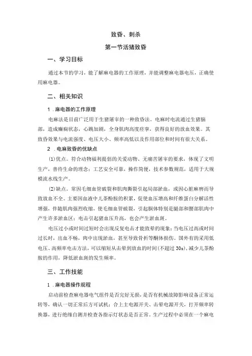 猪屠宰加工工培训 20.致昏刺杀