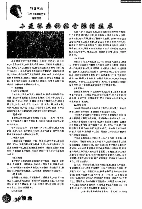 小麦根病的综合防治技术