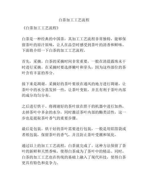 白茶加工工艺流程