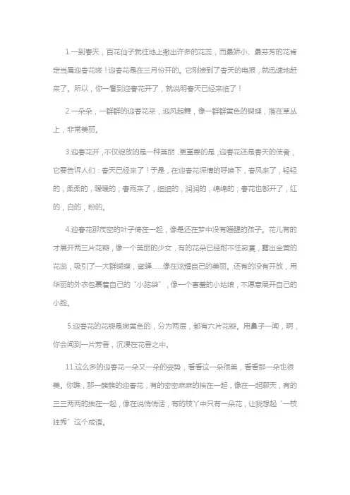 描写迎春花触感的句子