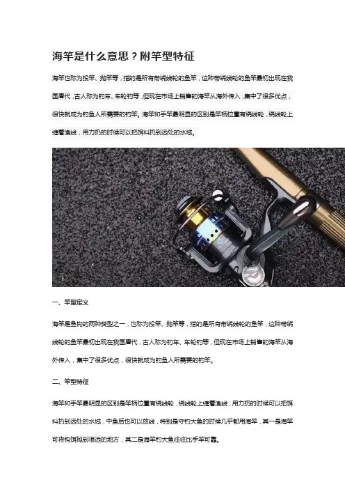 什么是海竿海竿都有哪几种他的使用特性与范围你都了解吗