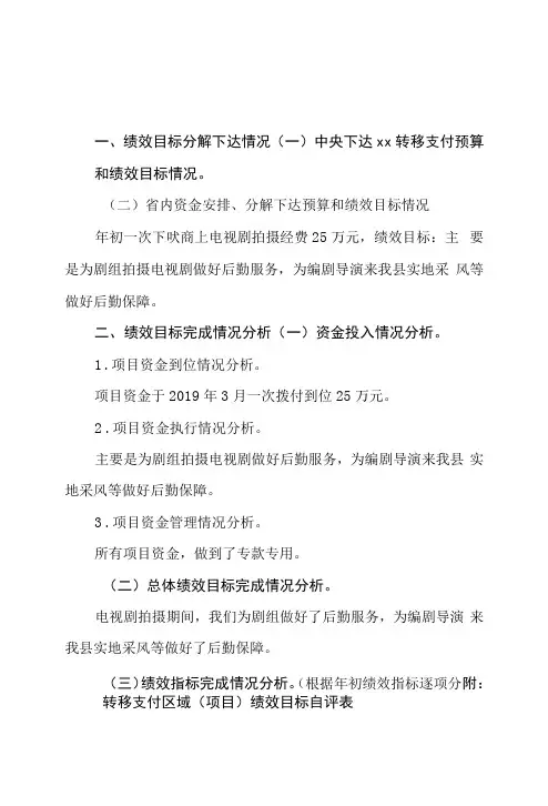 呔商电视剧拍摄经费2019年度绩效自评报告