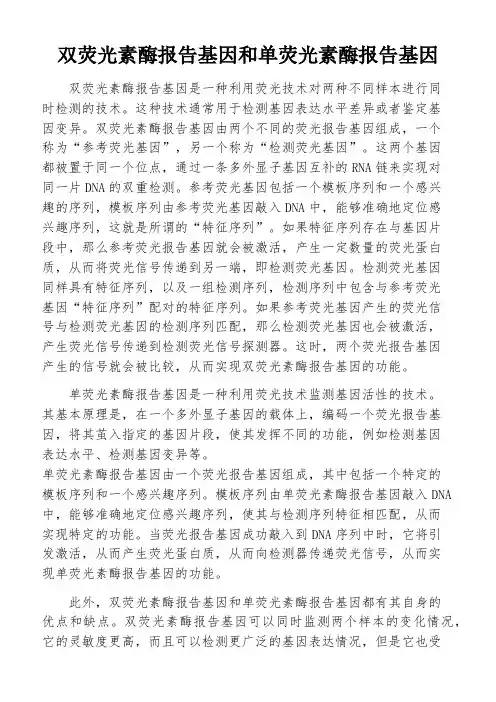 双荧光素酶报告基因和单荧光素酶报告基因