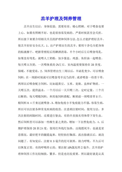羔羊护理及饲养管理