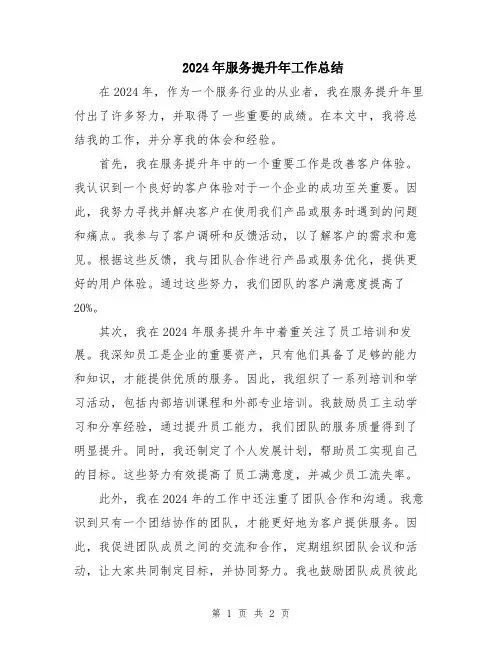 2024年服务提升年工作总结