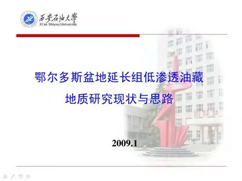 鄂尔多斯盆地延长组低渗油藏地质研究现状与思路