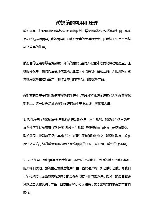 酸奶菌的应用和原理