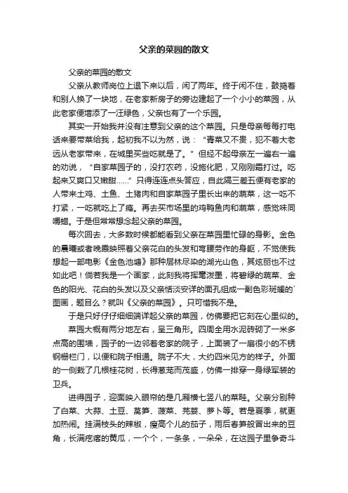 父亲的菜园的散文