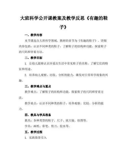 大班科学公开课教案及教学反思《有趣的鞋子》