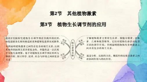 人教版(新教材)高中生物选择性必修1优质课件：5 2_5 3 其他植物激素  植物生长调节剂的应用
