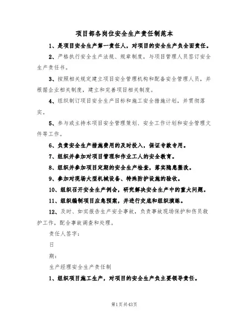 项目部各岗位安全生产责任制范本（7篇）