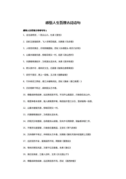 感悟人生诗100首