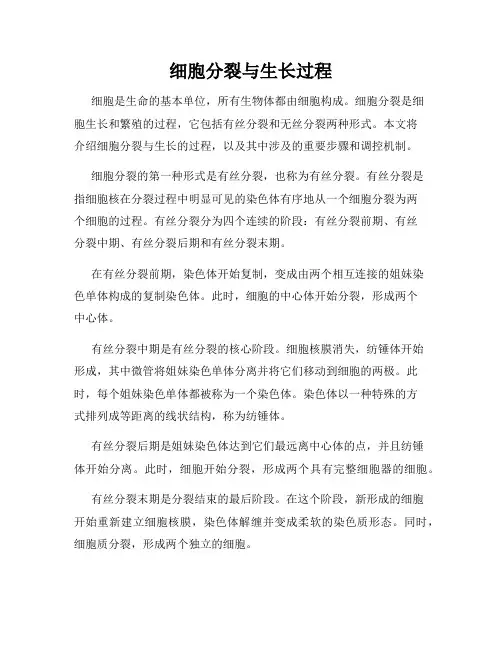 细胞分裂与生长过程