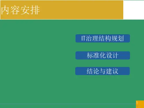 IT治理规划报告ppt课件