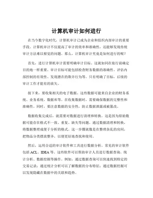 计算机审计如何进行