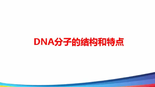 高中生物DNA的分子结构和特点优质课PPT课件