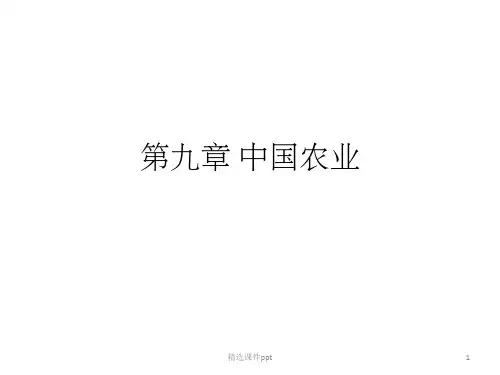 《中国农业》PPT课件