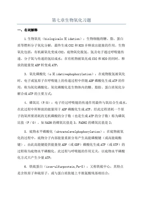 第七章生物氧化习题