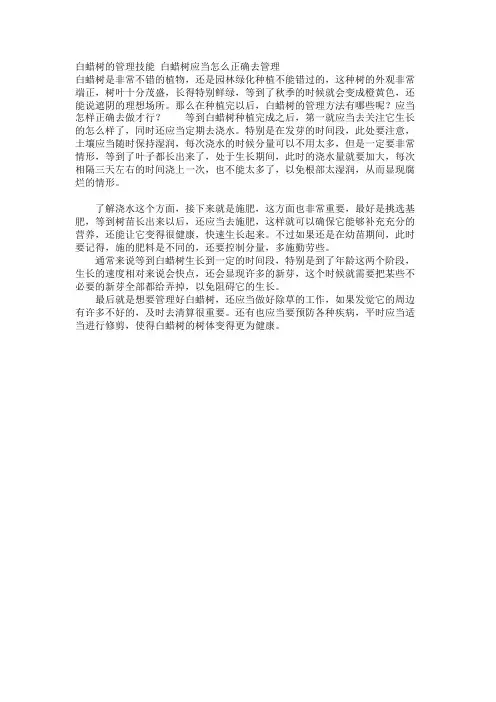 白蜡树的管理技巧 白蜡树应该怎么正确去管理