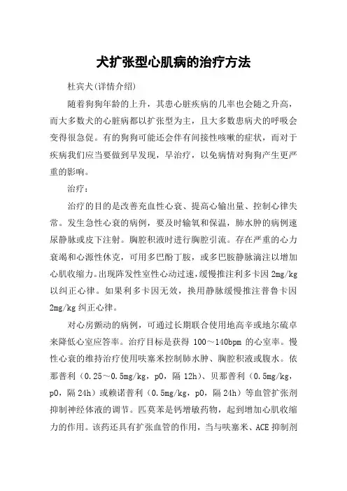 犬扩张型心肌病的治疗方法