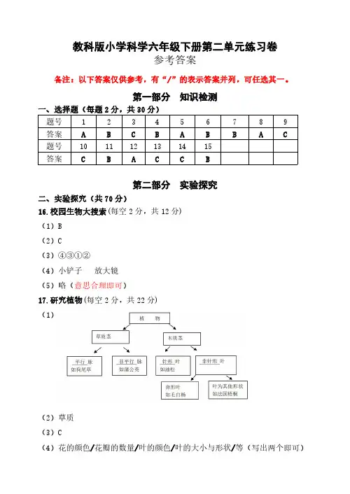 教科版小学科学六年级下册第二单元练习卷-参考答案