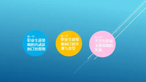 《大学生职业生涯规划》第九章