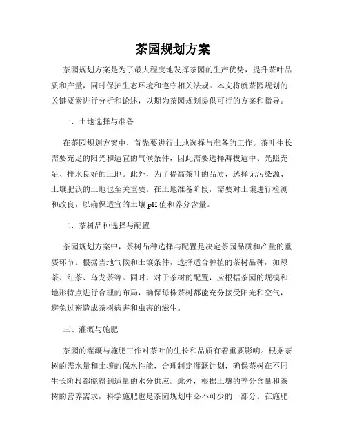 茶园规划方案