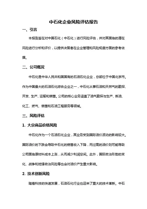 中石化企业风险评估报告