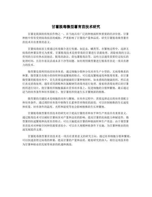 甘薯脱毒微型薯育苗技术研究