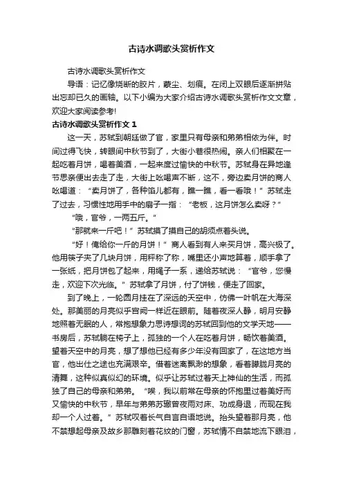 古诗水调歌头赏析作文