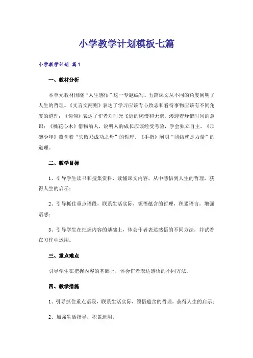 小学教学计划模板七篇