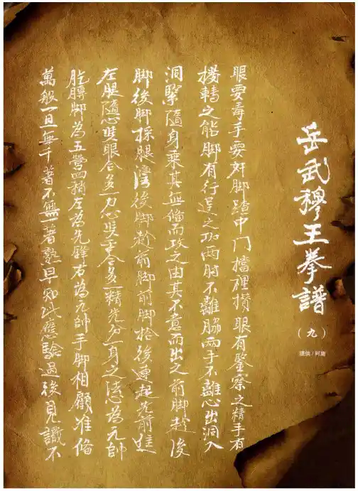 岳武穆王拳谱(九)