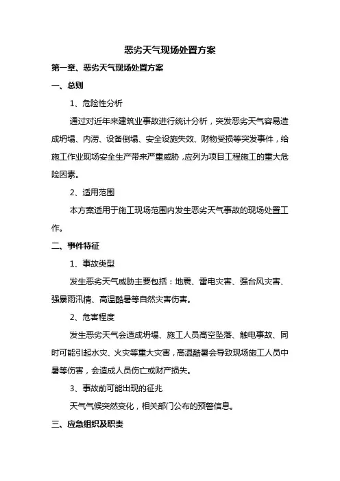 恶劣天气现场处置方案