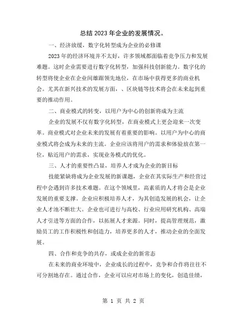 总结2023年企业的发展情况