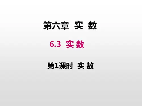 人教版七年级数学下册 6.3 第1课时 实数 (共19张PPT)