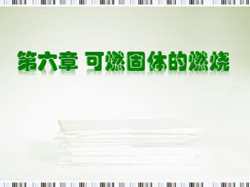 固体燃烧概述、固体着火理论