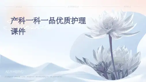产科一科一品优质护理课件