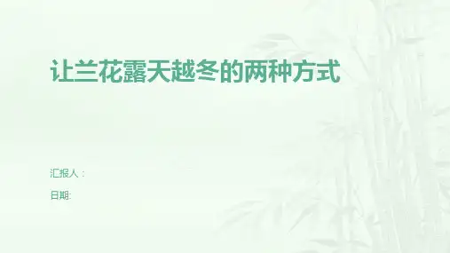 让兰花露天越冬的两种方式