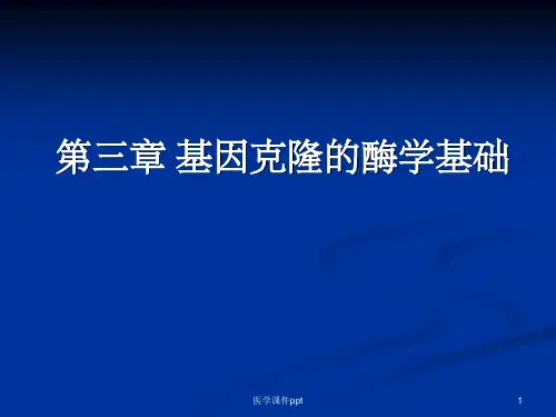 基因克隆的酶学基础