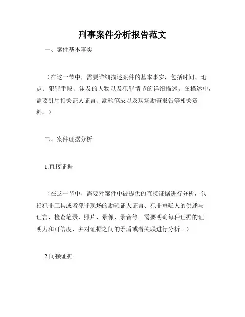 刑事案件分析报告范文