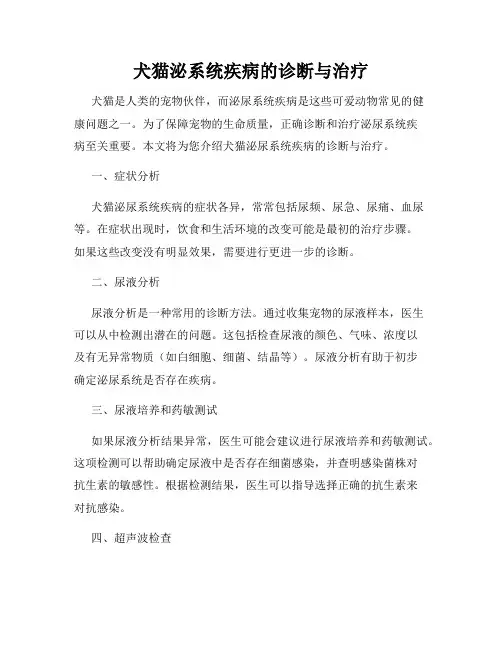 犬猫泌系统疾病的诊断与治疗