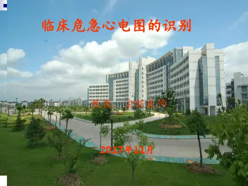 临床危急心电图的识别 ppt课件