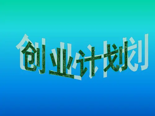 个性T恤市场营销创业策划方案PPT课件